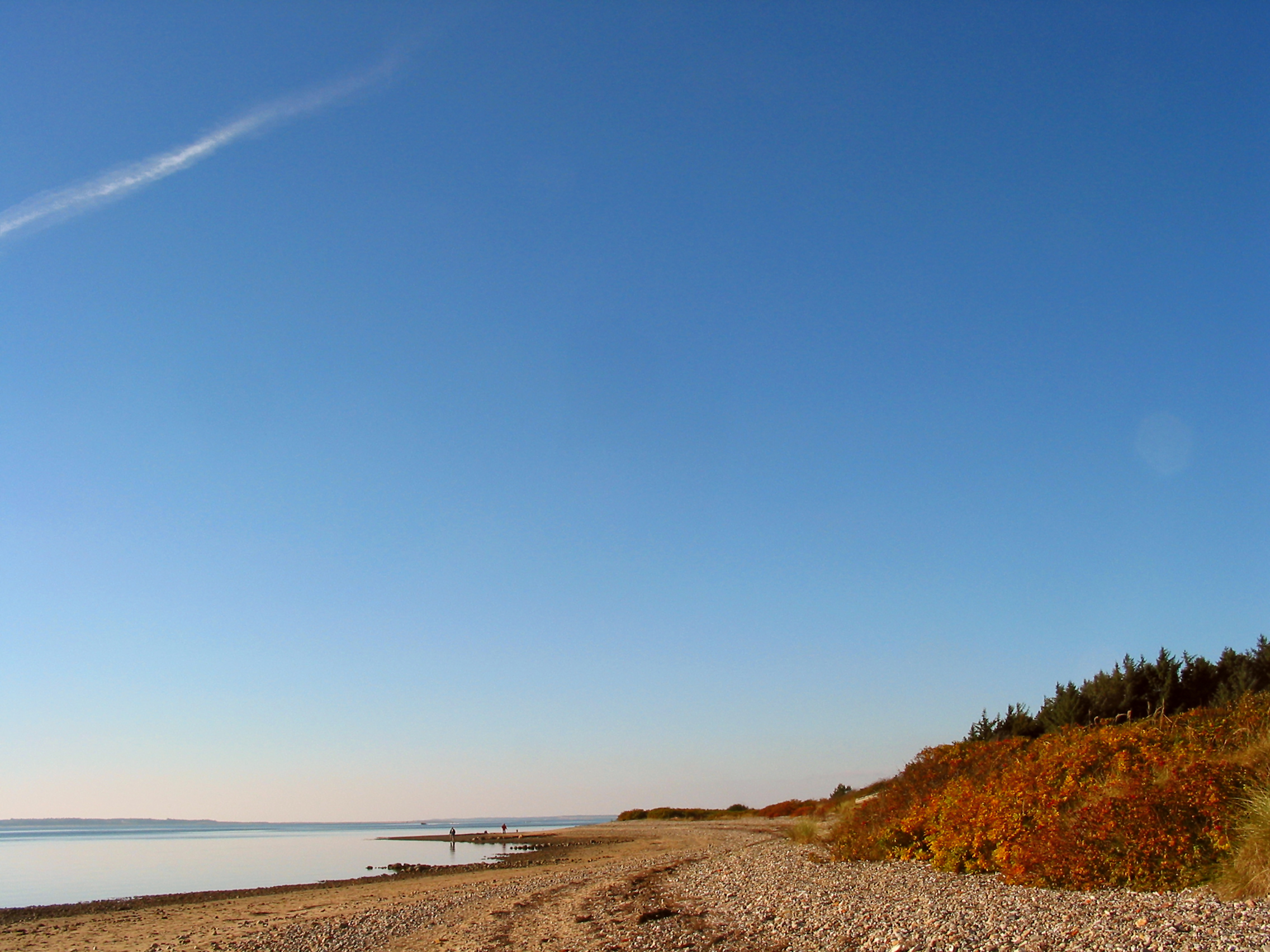 http://www.nissenbonde.dk/images/foto/efteraarsstrand.jpg