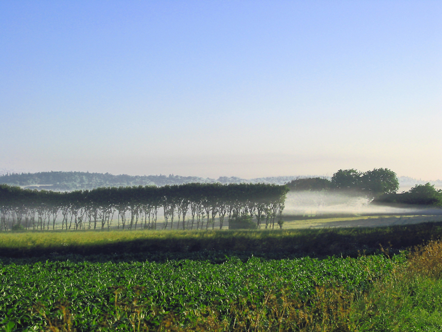 http://www.nissenbonde.dk/images/foto/morgentaage.jpg